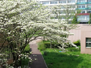 A view from the Rikakei Building